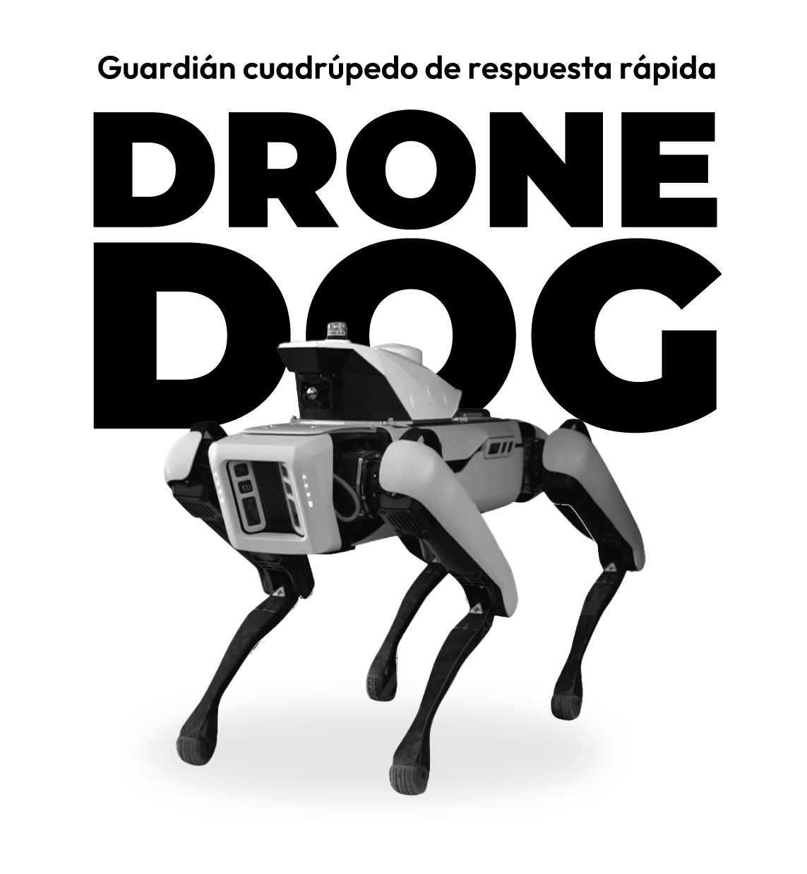 DroneDog: patrullaje inteligente para entornos complejos